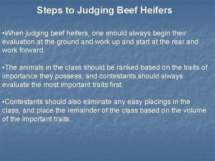 Steps to Judging Beef Heifers • When judging beef heifers, one should always begin