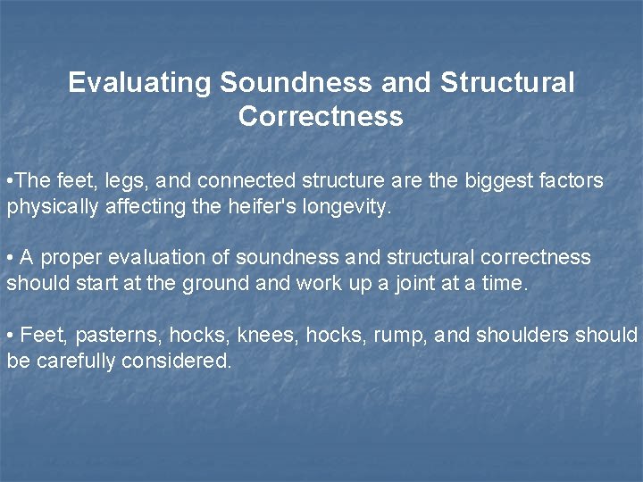 Evaluating Soundness and Structural Correctness • The feet, legs, and connected structure are the Evaluating Soundness and Structural Correctness • The feet, legs, and connected structure are the