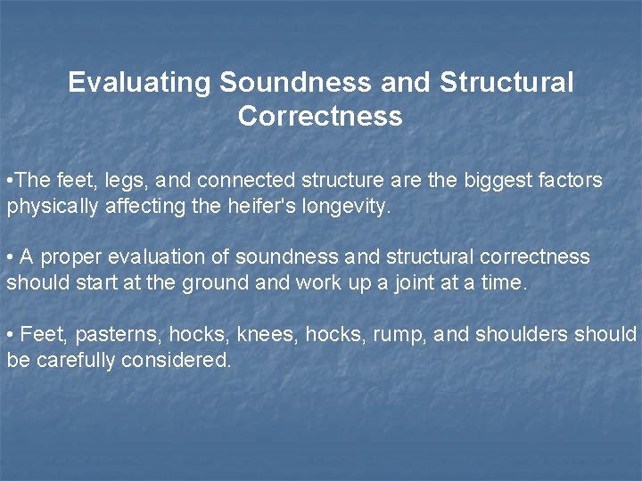 Evaluating Soundness and Structural Correctness • The feet, legs, and connected structure are the