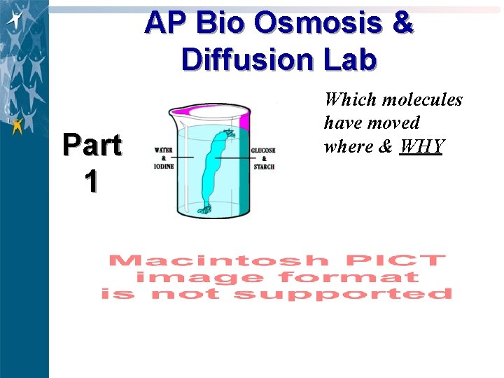AP Bio Osmosis & Diffusion Lab Part 1 Which molecules have moved where &