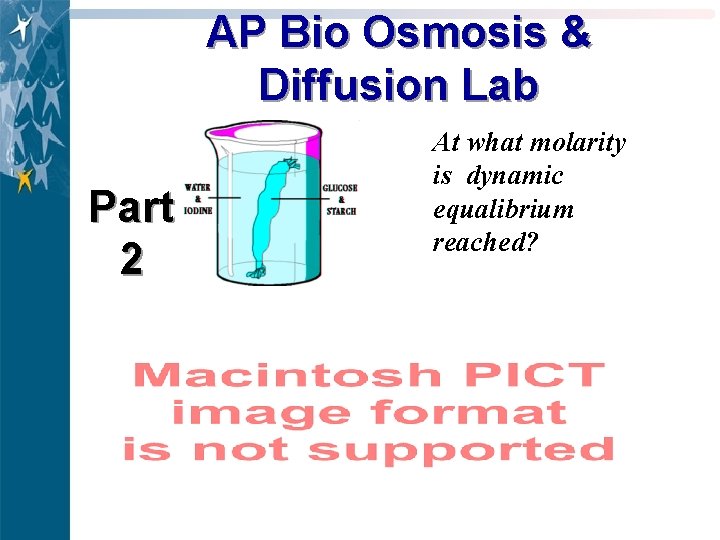 AP Bio Osmosis & Diffusion Lab Part 2 At what molarity is dynamic equalibrium