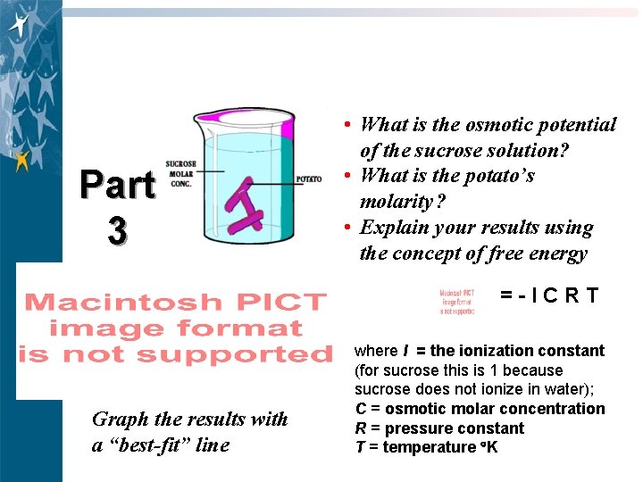 Part 3 • What is the osmotic potential of the sucrose solution? • What