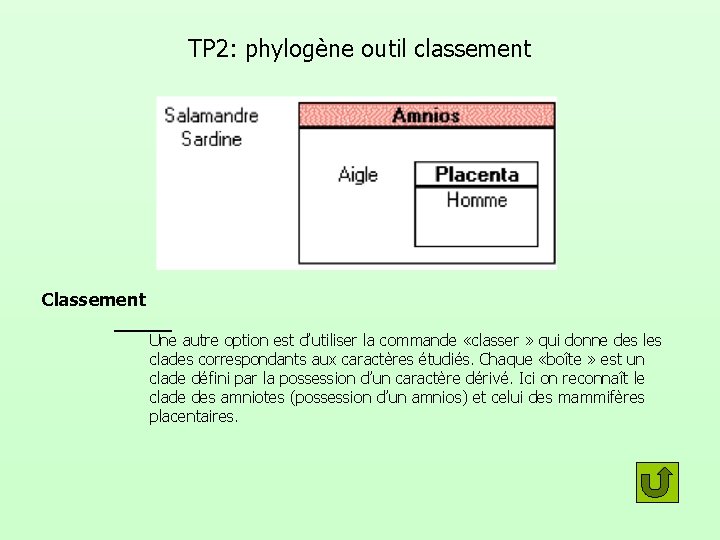 TP 2: phylogène outil classement Classement Une autre option est d’utiliser la commande «classer