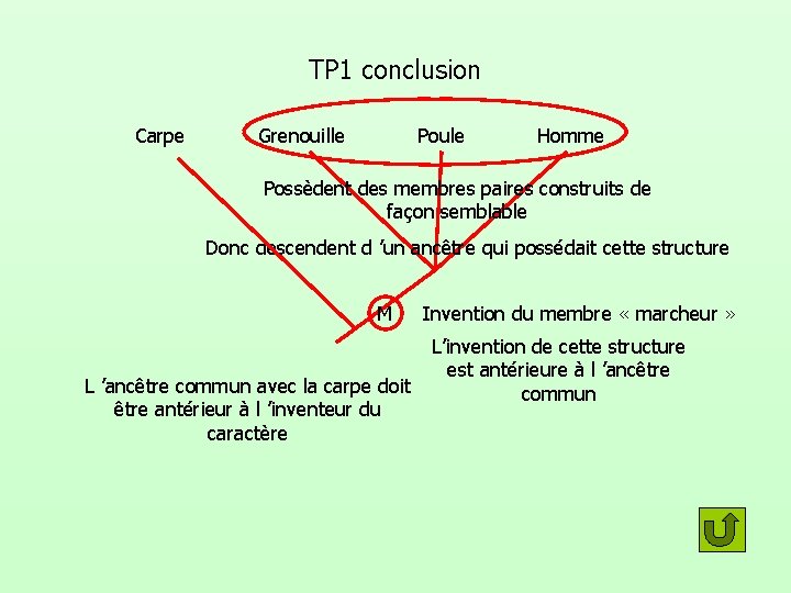 TP 1 conclusion Carpe Grenouille Poule Homme Possèdent des membres paires construits de façon