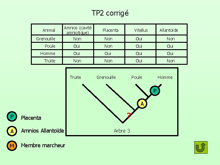 TP 2 corrigé Animal Grenouille Amnios (cavité amniotique) Non Placenta Vitellus Allantoïde Non Oui