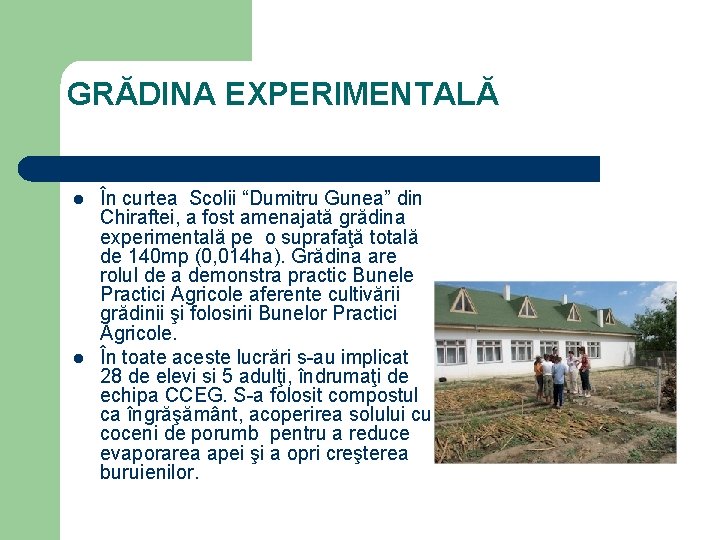 GRĂDINA EXPERIMENTALĂ l l În curtea Scolii “Dumitru Gunea” din Chiraftei, a fost amenajată