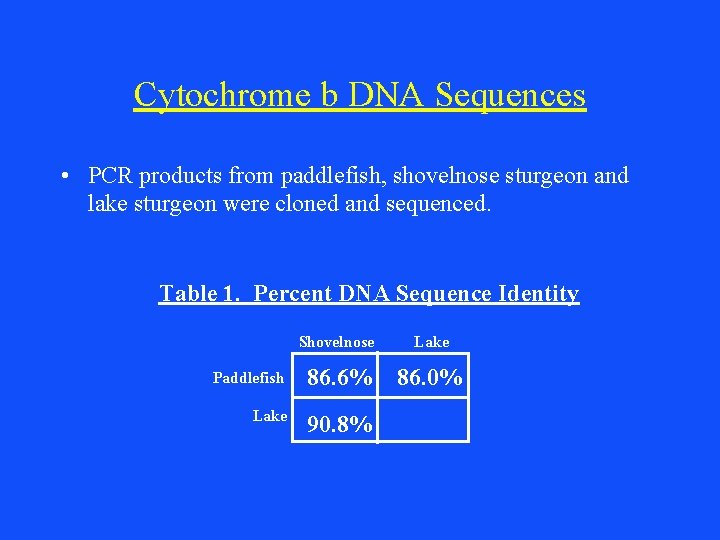 Cytochrome b DNA Sequences • PCR products from paddlefish, shovelnose sturgeon and lake sturgeon