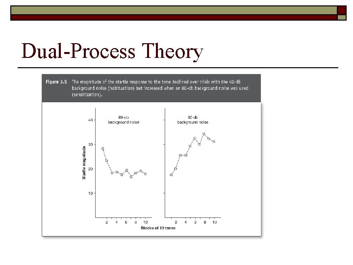 Dual-Process Theory 