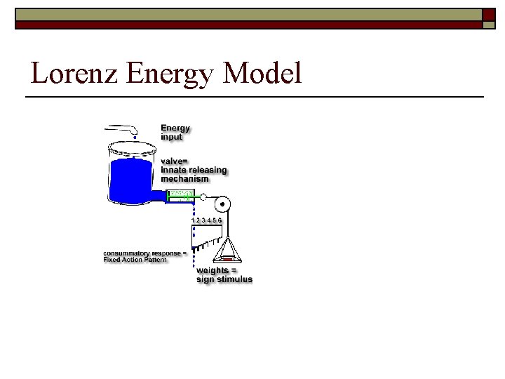 Lorenz Energy Model 