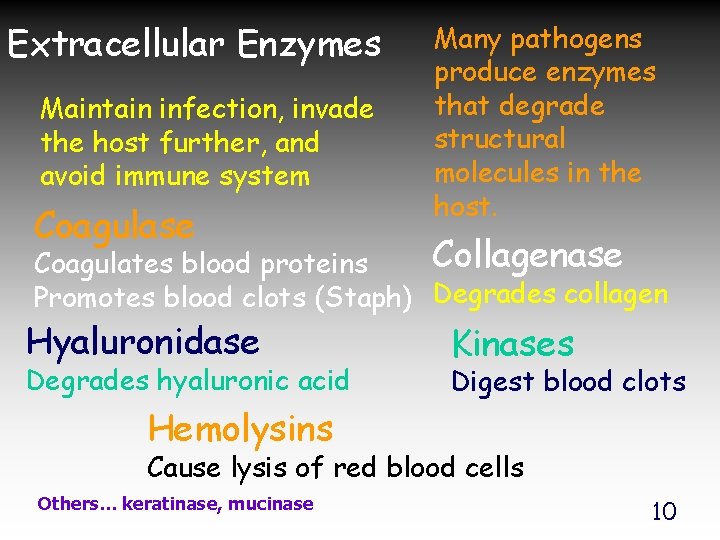 Extracellular Enzymes Maintain infection, invade the host further, and avoid immune system Coagulase Many