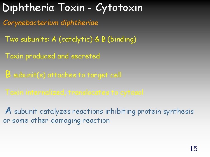 Diphtheria Toxin - Cytotoxin Corynebacterium diphtheriae Two subunits: A (catalytic) & B (binding) Toxin