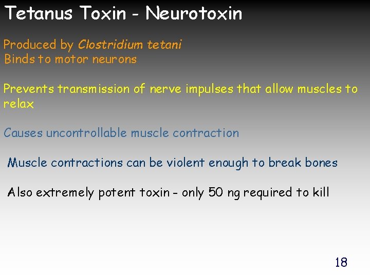 Tetanus Toxin - Neurotoxin Produced by Clostridium tetani Binds to motor neurons Prevents transmission