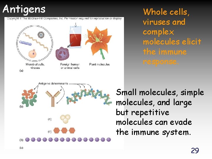 Antigens Whole cells, viruses and complex molecules elicit the immune response. Small molecules, simple