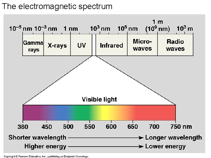 The electromagnetic spectrum 