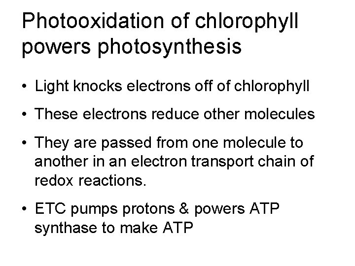 Photooxidation of chlorophyll powers photosynthesis • Light knocks electrons off of chlorophyll • These