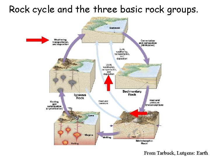 Rock cycle and the three basic rock groups. From Tarbuck, Lutgens: Earth 