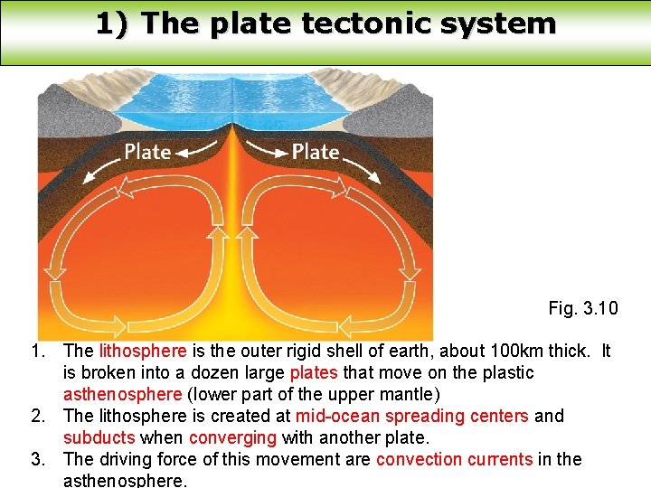 1) The plate tectonic system Fig. 3. 10 1. The lithosphere is the outer
