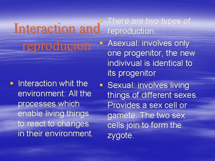 § There are two types of reproduction: § Asexual: involves only one progenitor, the