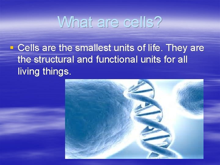 What are cells? § Cells are the smallest units of life. They are the