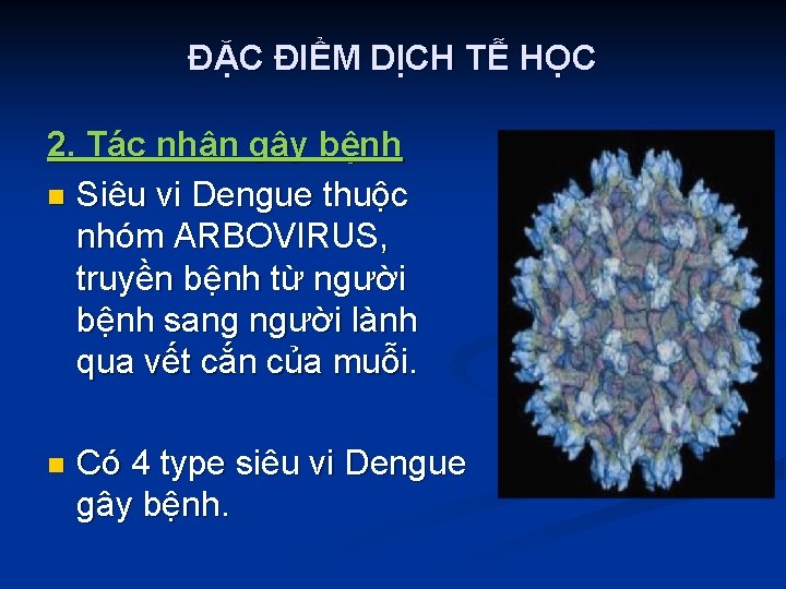 ĐẶC ĐIỂM DỊCH TỄ HỌC 2. Tác nhân gây bệnh n Siêu vi Dengue