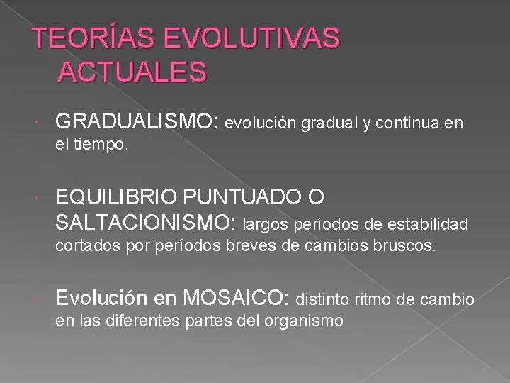 TEORÍAS EVOLUTIVAS ACTUALES GRADUALISMO: evolución gradual y continua en el tiempo. EQUILIBRIO PUNTUADO O