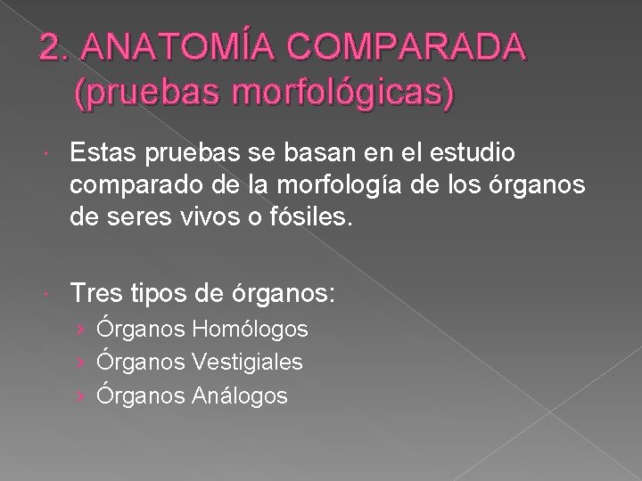 2. ANATOMÍA COMPARADA (pruebas morfológicas) Estas pruebas se basan en el estudio comparado de