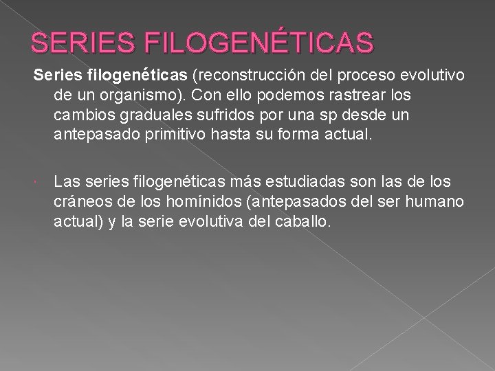 SERIES FILOGENÉTICAS Series filogenéticas (reconstrucción del proceso evolutivo de un organismo). Con ello podemos