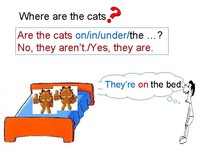 Where are the cats Are the cats on/in/under/the …? No, they aren’t. /Yes, they