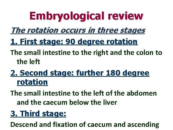 Embryological review The rotation occurs in three stages 1. First stage: 90 degree rotation