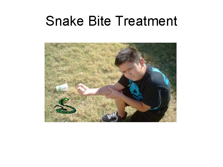 Snake Bite Treatment 