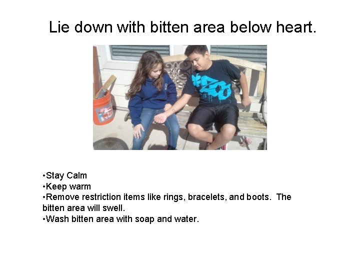 Lie down with bitten area below heart. • Stay Calm • Keep warm •