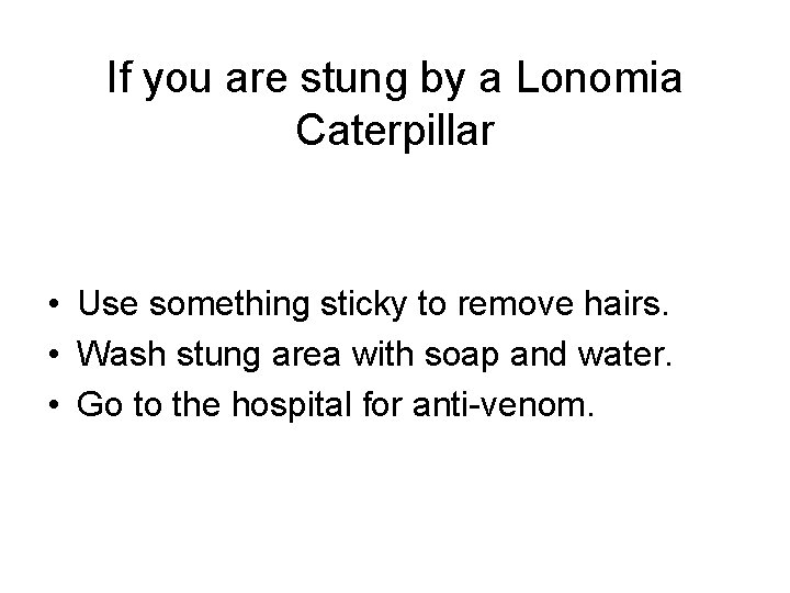 If you are stung by a Lonomia Caterpillar • Use something sticky to remove