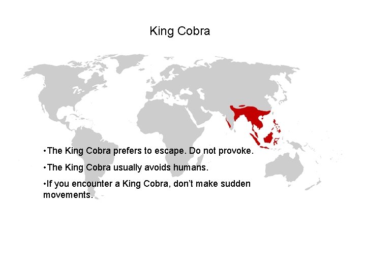 King Cobra • The King Cobra prefers to escape. Do not provoke. • The