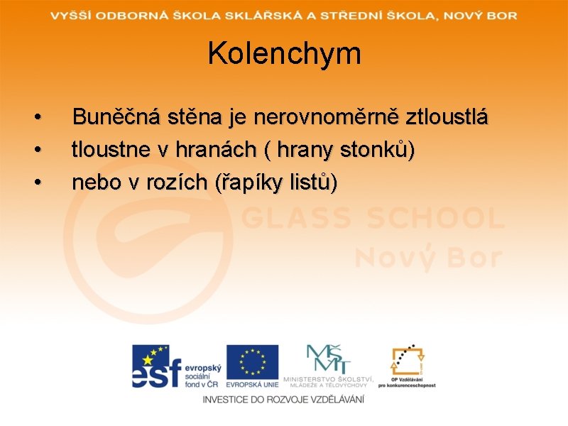 Kolenchym • • • Buněčná stěna je nerovnoměrně ztloustlá tloustne v hranách ( hrany