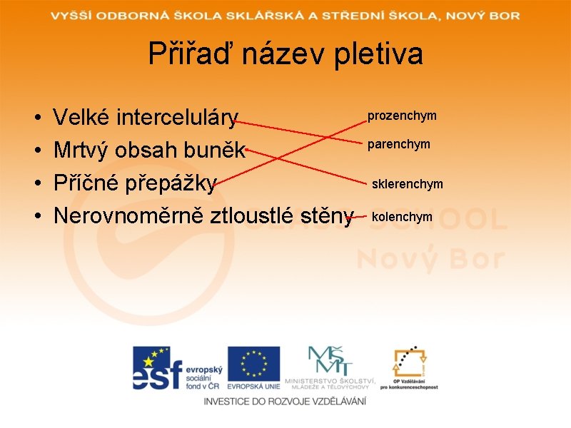 Přiřaď název pletiva • • Velké interceluláry Mrtvý obsah buněk Příčné přepážky Nerovnoměrně ztloustlé