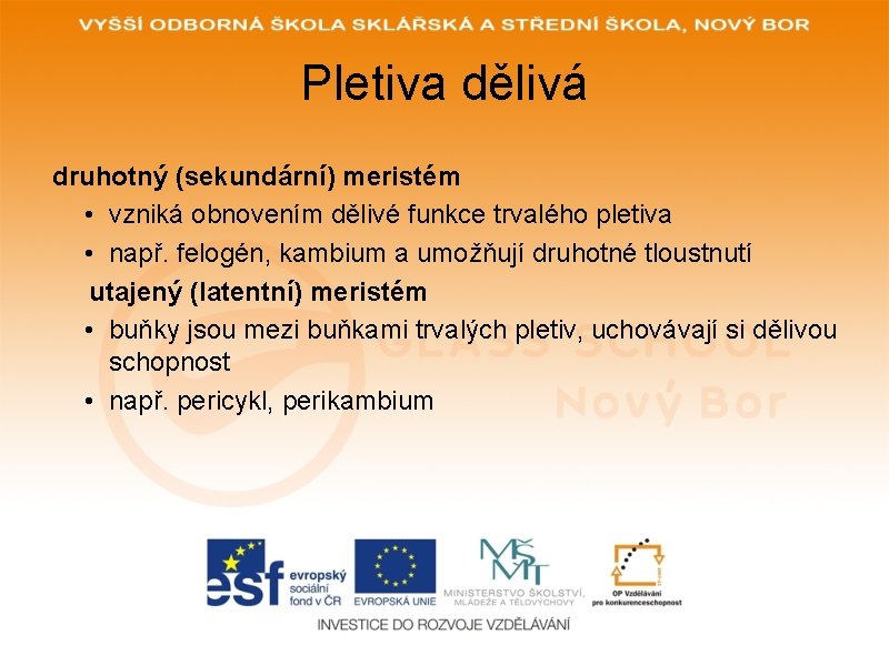 Pletiva dělivá druhotný (sekundární) meristém • vzniká obnovením dělivé funkce trvalého pletiva • např.