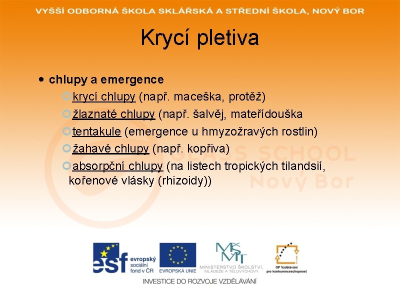 Krycí pletiva chlupy a emergence krycí chlupy (např. maceška, protěž) žlaznaté chlupy (např. šalvěj,