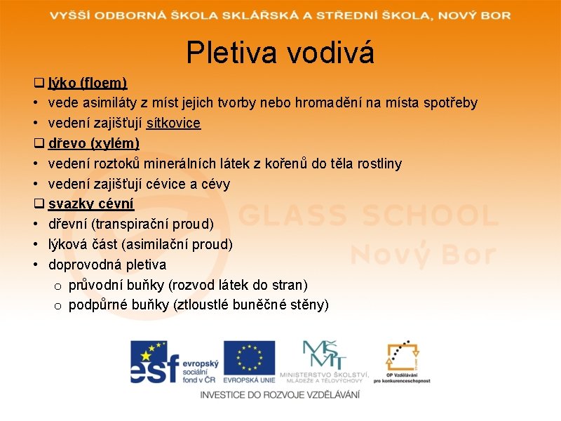 Pletiva vodivá q lýko (floem) • vede asimiláty z míst jejich tvorby nebo hromadění