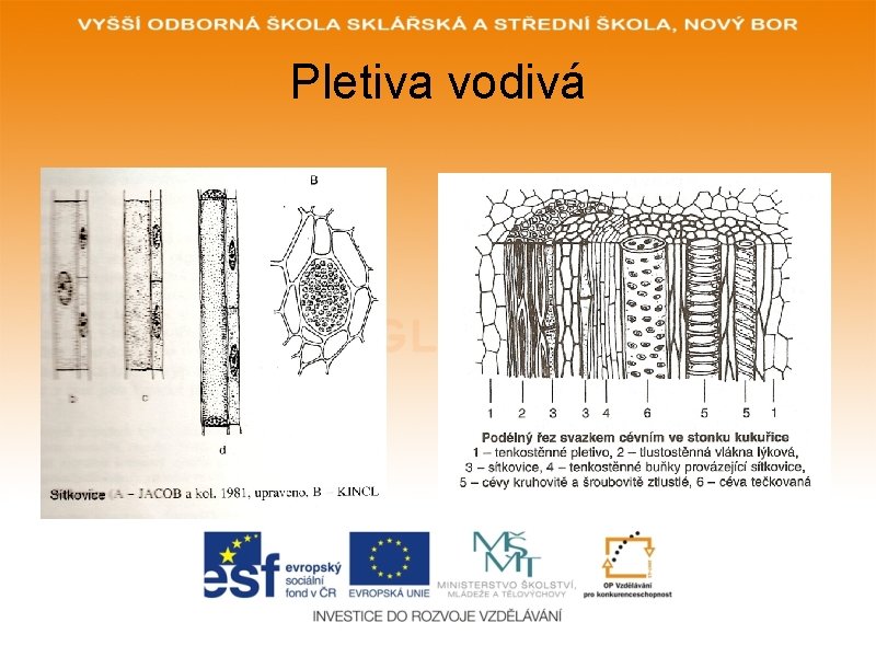 Pletiva vodivá 