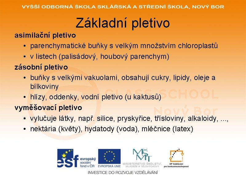 Základní pletivo asimilační pletivo • parenchymatické buňky s velkým množstvím chloroplastů • v listech