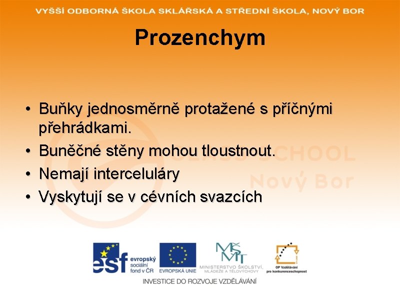 Prozenchym • Buňky jednosměrně protažené s příčnými přehrádkami. • Buněčné stěny mohou tloustnout. •