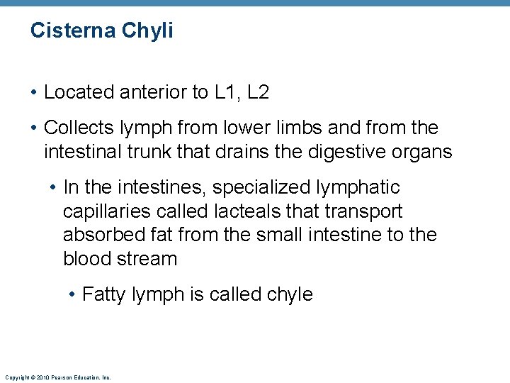 Cisterna Chyli • Located anterior to L 1, L 2 • Collects lymph from