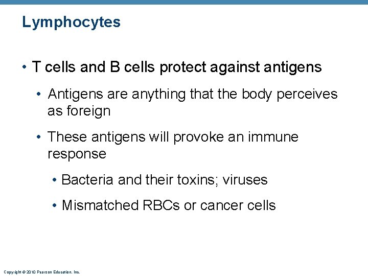 Lymphocytes • T cells and B cells protect against antigens • Antigens are anything