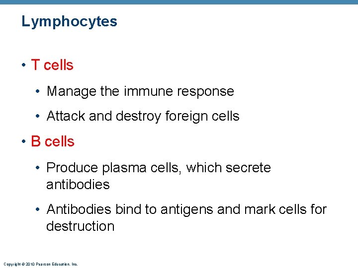 Lymphocytes • T cells • Manage the immune response • Attack and destroy foreign