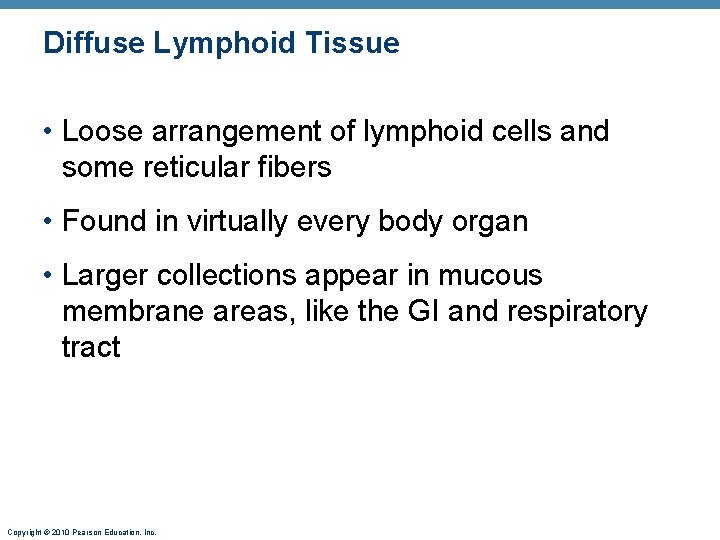 Diffuse Lymphoid Tissue • Loose arrangement of lymphoid cells and some reticular fibers •