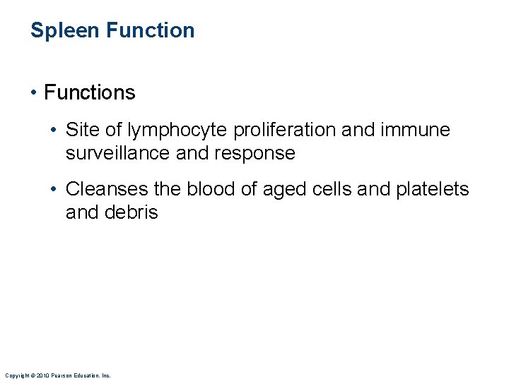 Spleen Function • Functions • Site of lymphocyte proliferation and immune surveillance and response