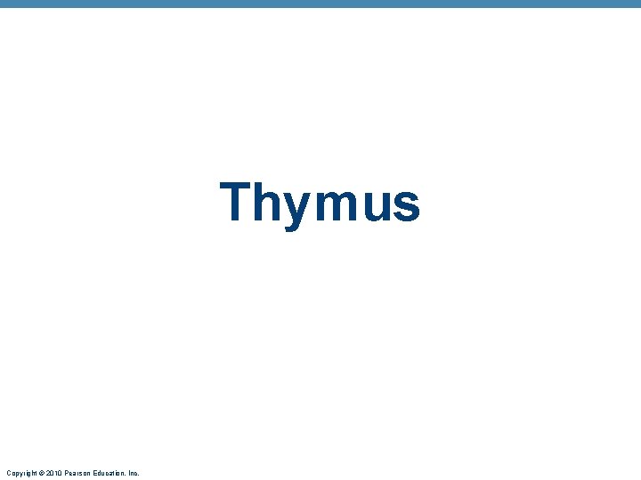 Thymus Copyright © 2010 Pearson Education, Inc. 