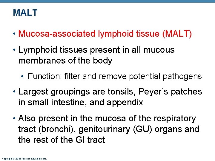 MALT • Mucosa-associated lymphoid tissue (MALT) • Lymphoid tissues present in all mucous membranes