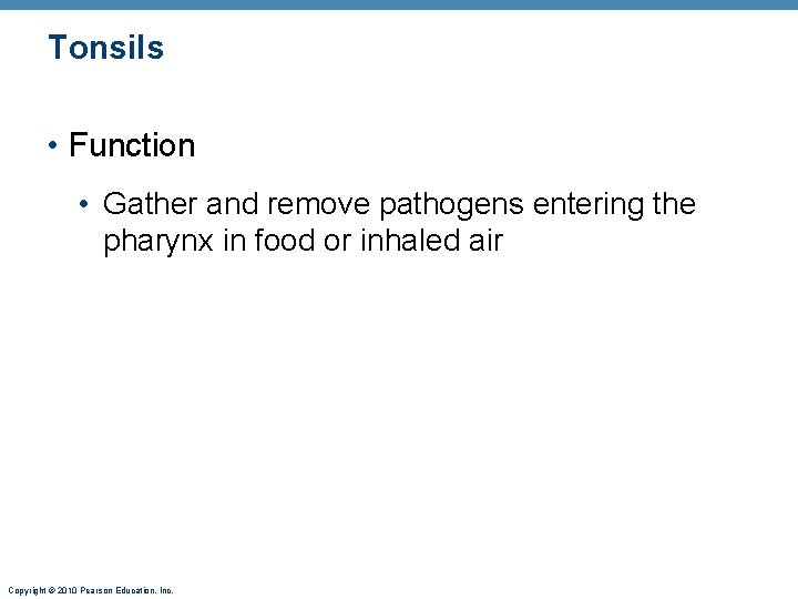 Tonsils • Function • Gather and remove pathogens entering the pharynx in food or