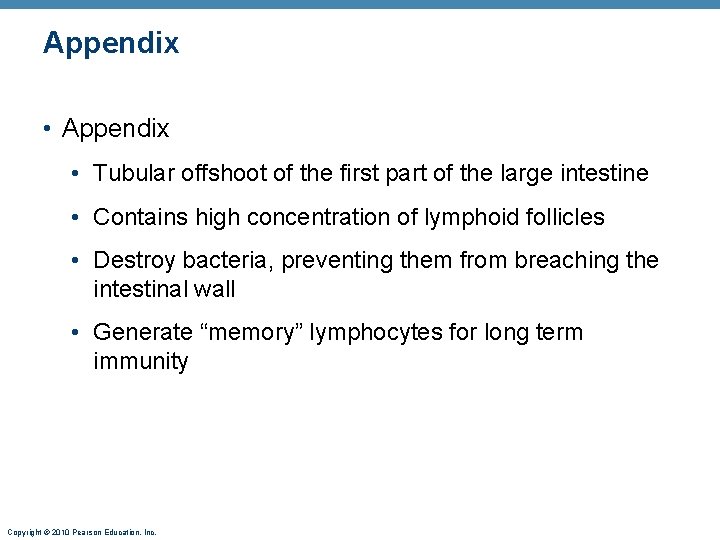 Appendix • Tubular offshoot of the first part of the large intestine • Contains